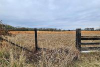 Undeveloped Land for sale in Wood County, Texas