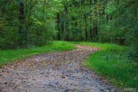 Property for sale in Madison County, Illinois