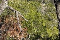 Property for sale in Hays County, Texas