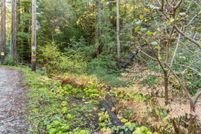 Undeveloped Land for sale in Santa Cruz County, California