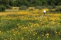 Property for sale in Blanco County, Texas