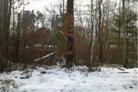 Undeveloped Land for sale in Rockingham County, New Hampshire