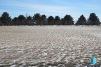 Property for sale in Pipestone County, Minnesota