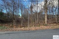 Undeveloped Land for sale in Henry County, Virginia