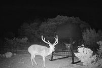 Property for sale in Edwards County, Texas