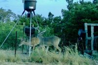 Waterfront Property for sale in Edwards County, Texas