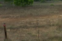 Property for sale in Atascosa County, Texas