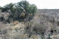 Undeveloped Land for sale in Uvalde County, Texas