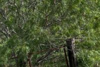 Property for sale in Guadalupe County, Texas