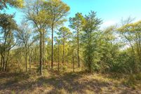 Property for sale in Levy County, Florida