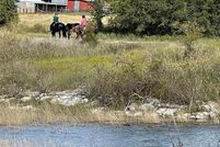 Undeveloped Land for sale in Comal County, Texas