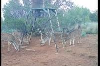 Undeveloped Land for sale in Runnels County, Texas