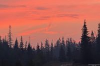 Farm Property for sale in Clearwater County, Idaho