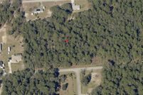 Undeveloped Land for sale in Marion County, Florida
