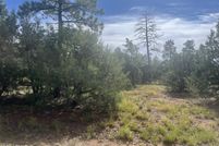 Property for sale in Navajo County, Arizona