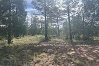 Property for sale in Navajo County, Arizona