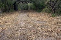 Property for sale in Bee County, Texas