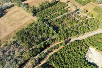 Undeveloped Land for sale in Marion County, South Carolina