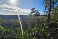Waterfront Property for sale in Camden County, Georgia