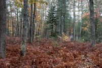 Property for sale in Presque Isle County, Michigan