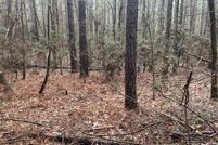 Undeveloped Land for sale in Sabine Parish, Louisiana