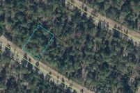 Undeveloped Land for sale in Washington County, Florida