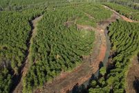 Undeveloped Land for sale in Pushmataha County, Oklahoma