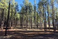 Undeveloped Land for sale in Coconino County, Arizona