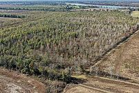 Property for sale in Catahoula Parish, Louisiana