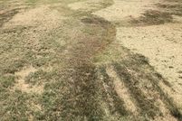 Undeveloped Land for sale in Somerset County, Maryland