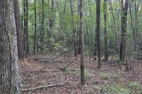 Undeveloped Land for sale in Jasper County, Mississippi