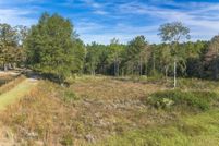 Undeveloped Land for sale in Pearl River County, Mississippi