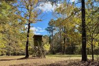 Property for sale in Calhoun County, Mississippi