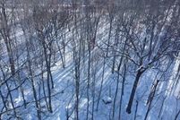 Undeveloped Land for sale in Penobscot County, Maine