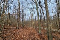 Undeveloped Land for sale in Coshocton County, Ohio