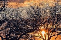 Property for sale in Pima County, Arizona