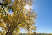 Property for sale in San Juan County, New Mexico