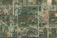 Undeveloped Land for sale in Marion County, Florida