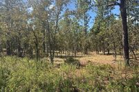 Undeveloped Land for sale in Marion County, Florida