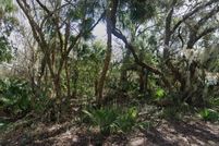 Undeveloped Land for sale in Volusia County, Florida