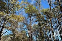 Undeveloped Land for sale in Darlington County, South Carolina