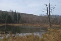 Ranch Property for sale in Otsego County, New York