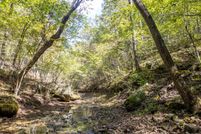 Undeveloped Land for sale in Texas County, Missouri