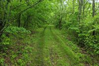 Undeveloped Land for sale in Stone County, Missouri