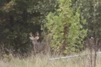 Residential Property for sale in Dallas County, Missouri