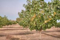 Property for sale in Fresno County, California