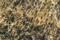 Property for sale in Madera County, California