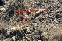 Farm Property for sale in Mohave County, Arizona