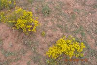 Farm Property for sale in Mohave County, Arizona