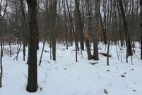 Property for sale in Mecosta County, Michigan